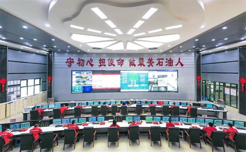 服務(wù)川渝一億人，守護(hù)碧水安瀾——全國(guó)實(shí)際處理量最大凈化廠安全投產(chǎn)十周年紀(jì)實(shí)